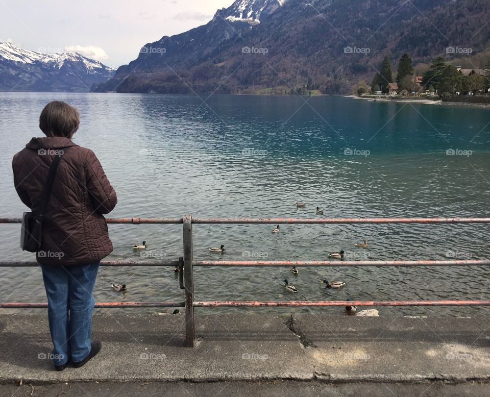 Lady standing by the lakeside feeding ducks 