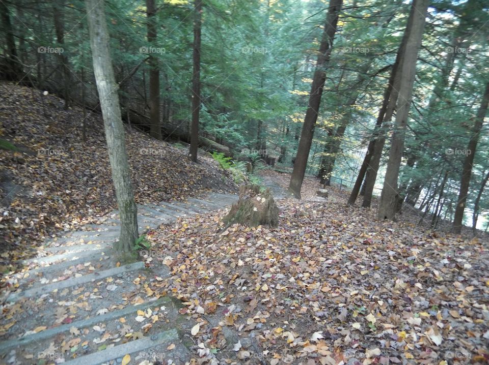 killer stairs at Stony Brook State Park