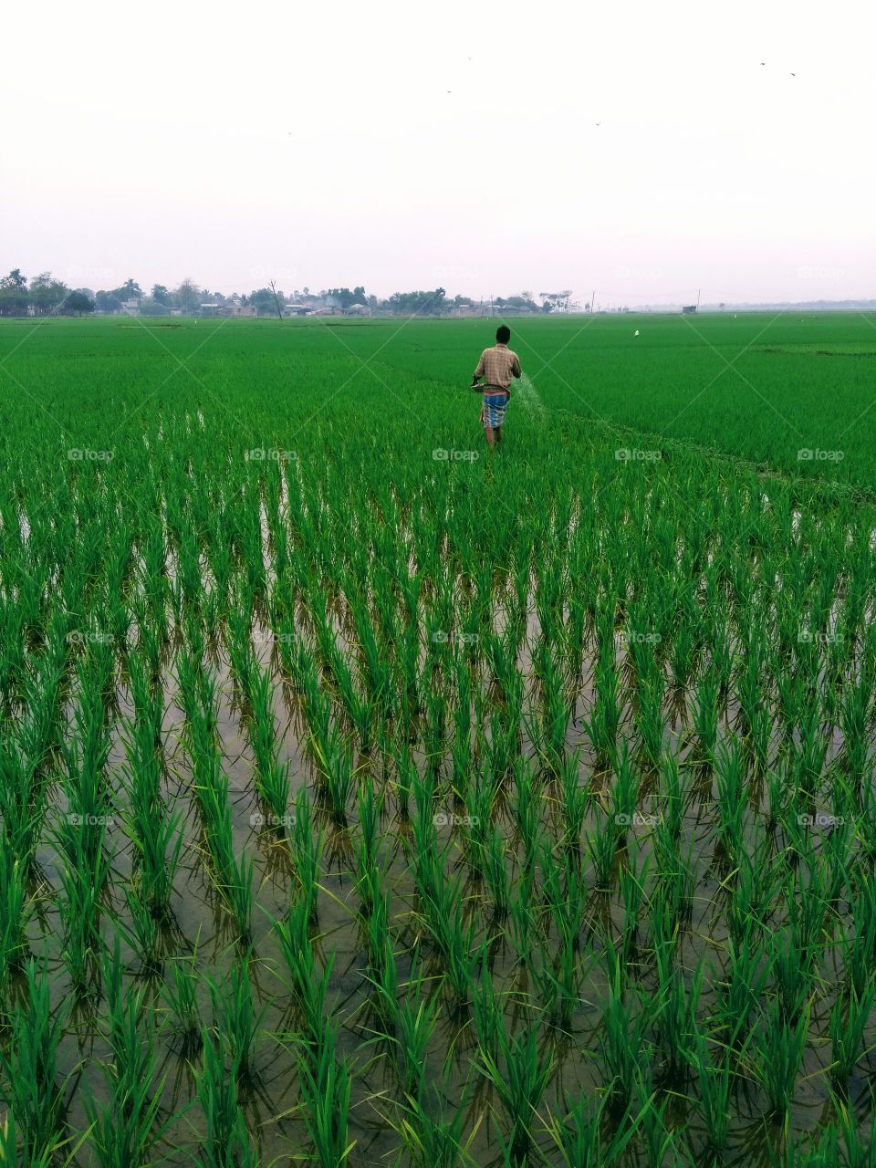 farmer hard work job