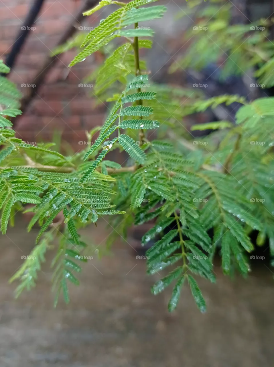 mini water drop