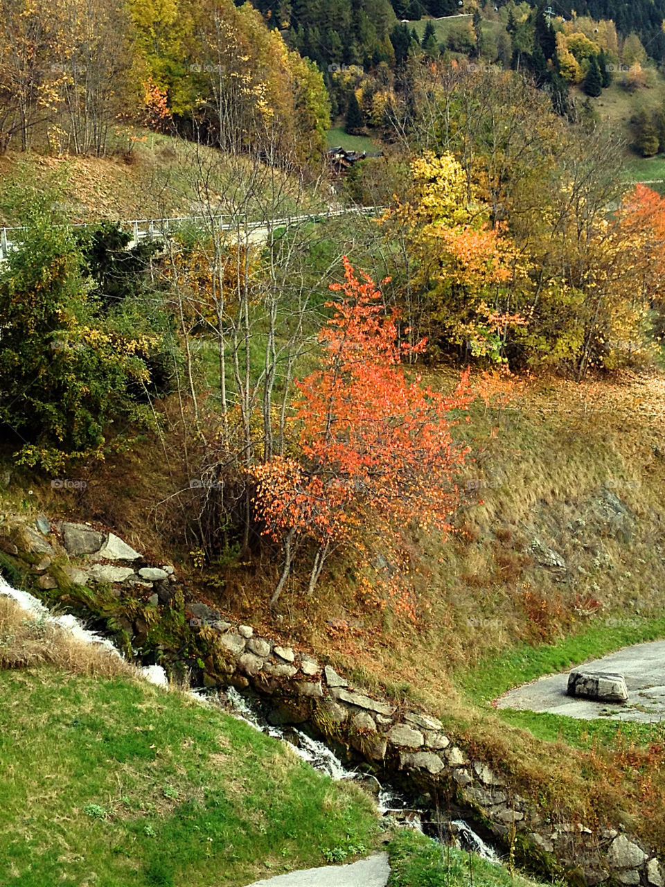 autumn and river champex by swisstraveler
