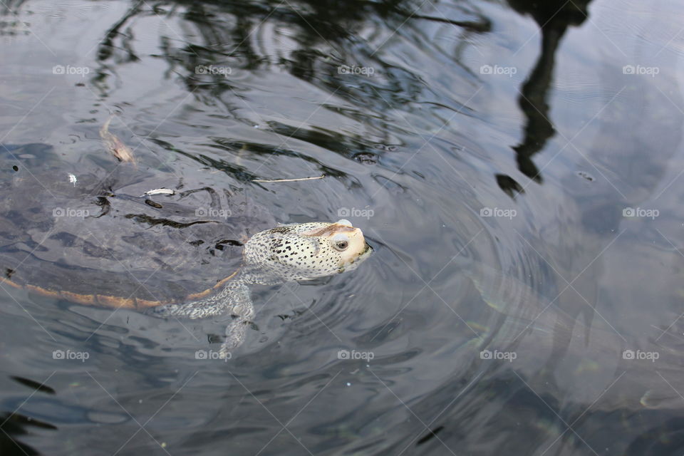 One of the amazing views at the aquarium.