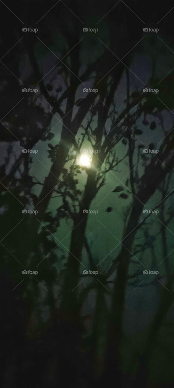 moon light night shot