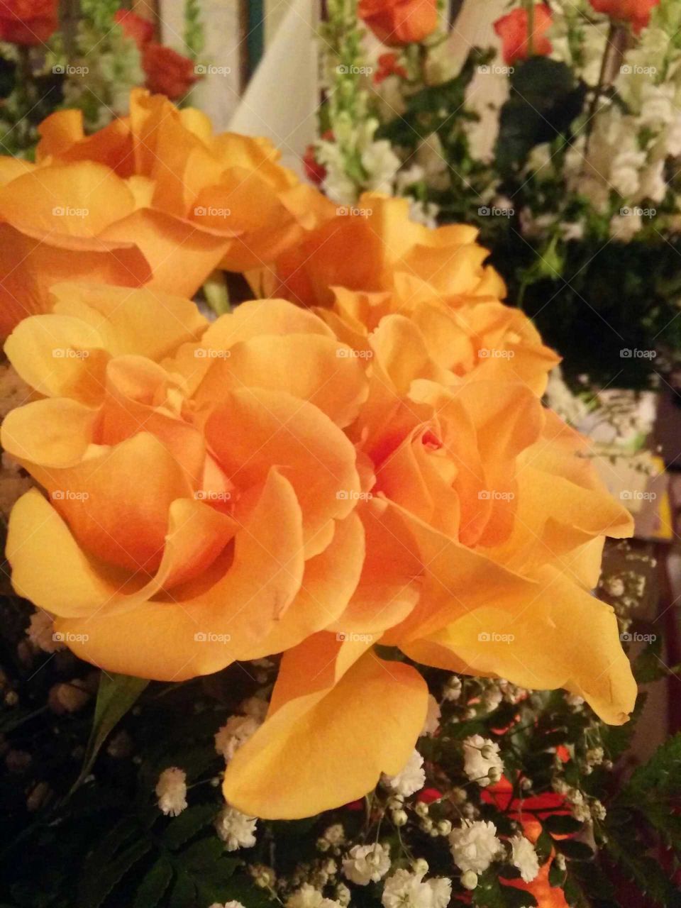 Flower, No Person, Rose, Bouquet, Flower Arrangement
