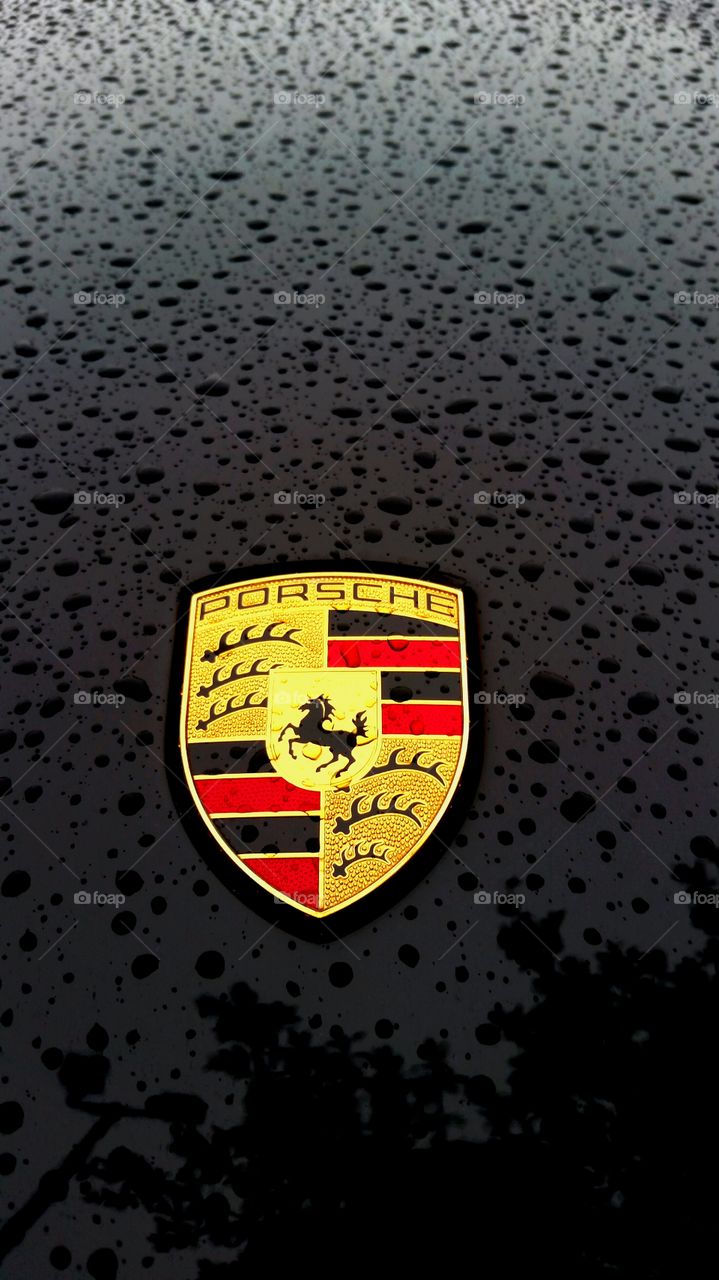 Porsche Emblem