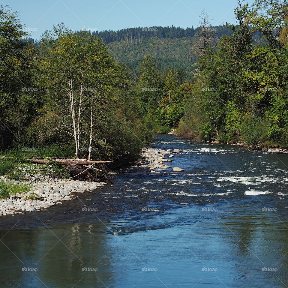 The rocky and rugged shores of the Middle Fork of the Willamette River near Oakridge Oregon filled with trees transitioning to their fall colors on a beautiful sunny day.