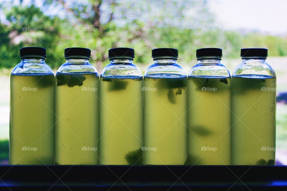 Symmetry Everywhere - bottled fermented green tea 