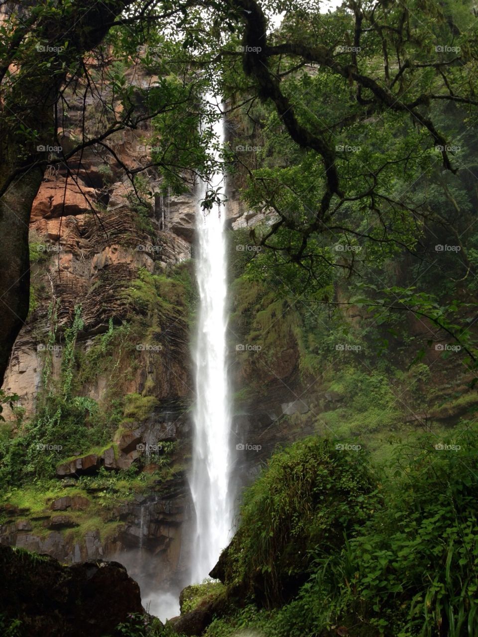 Lone Creek falls Sabie South Africa