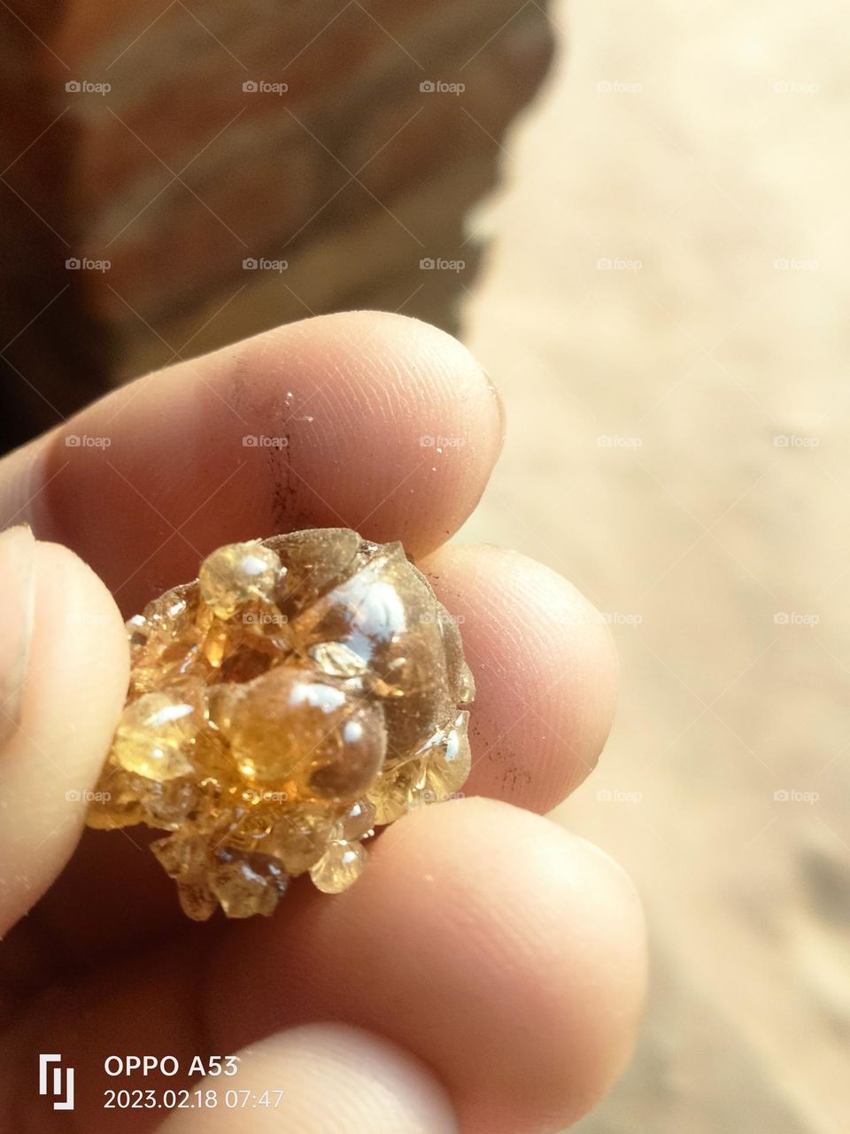 Can you recognise it ?
Ans : it is gond.