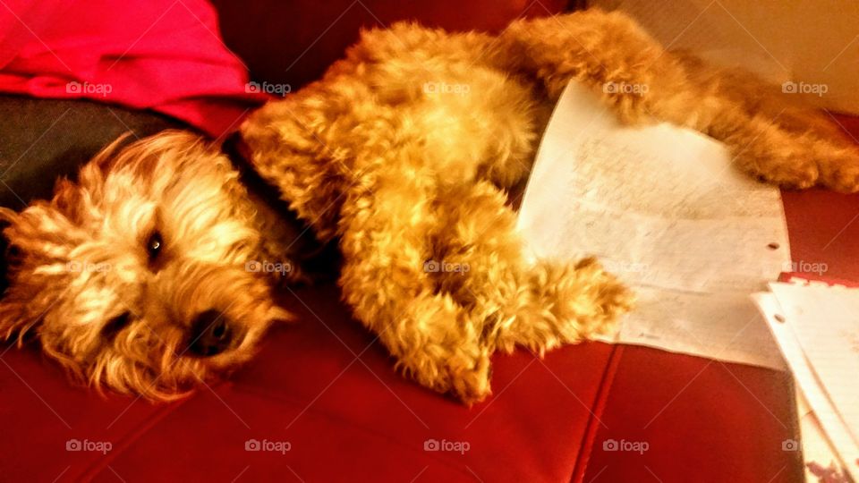 that's mt story and I'm sticking to it!