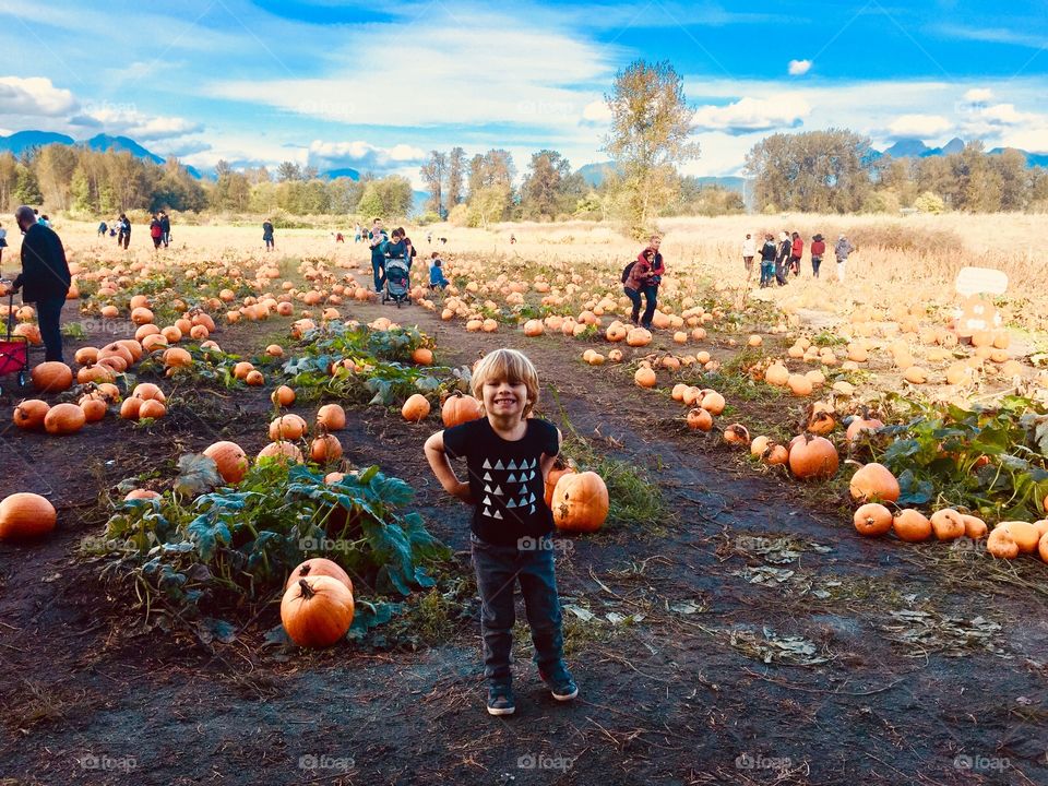 A day at the pumpkin patch 