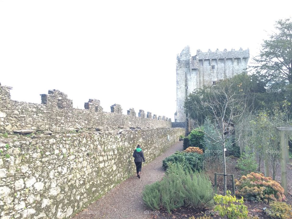 Blarney wall