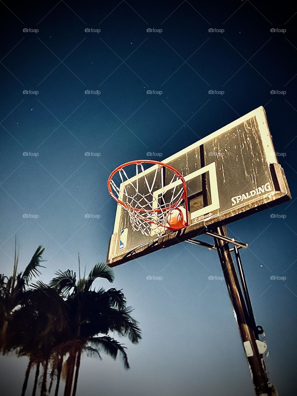 Basketball Hoop