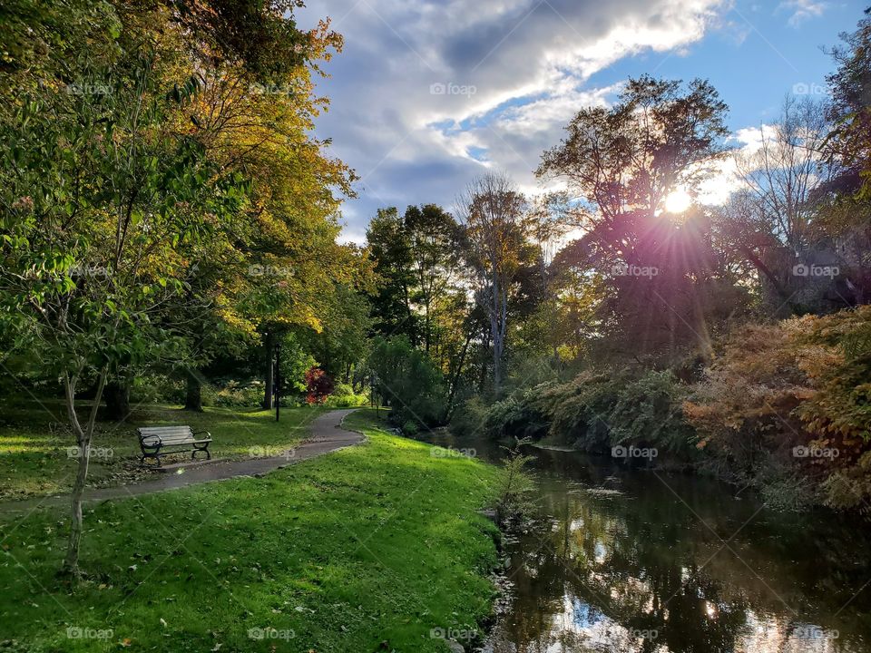 Peaceful Evening Views by the Water