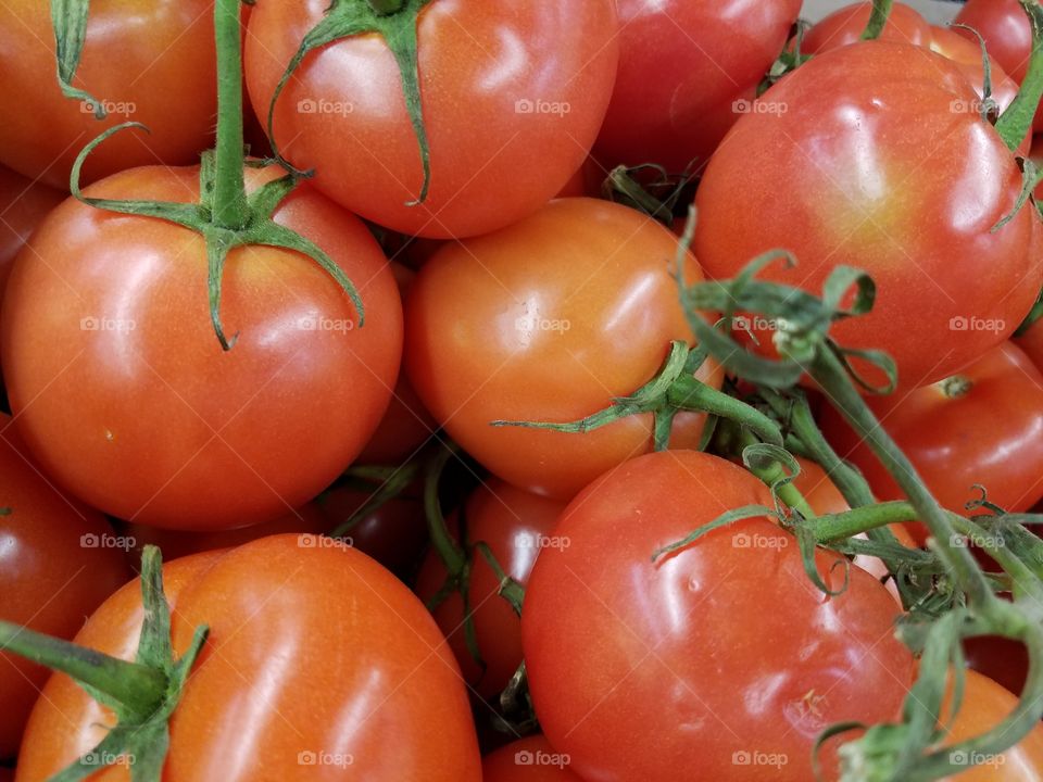 Tomatoes on the Vine 2