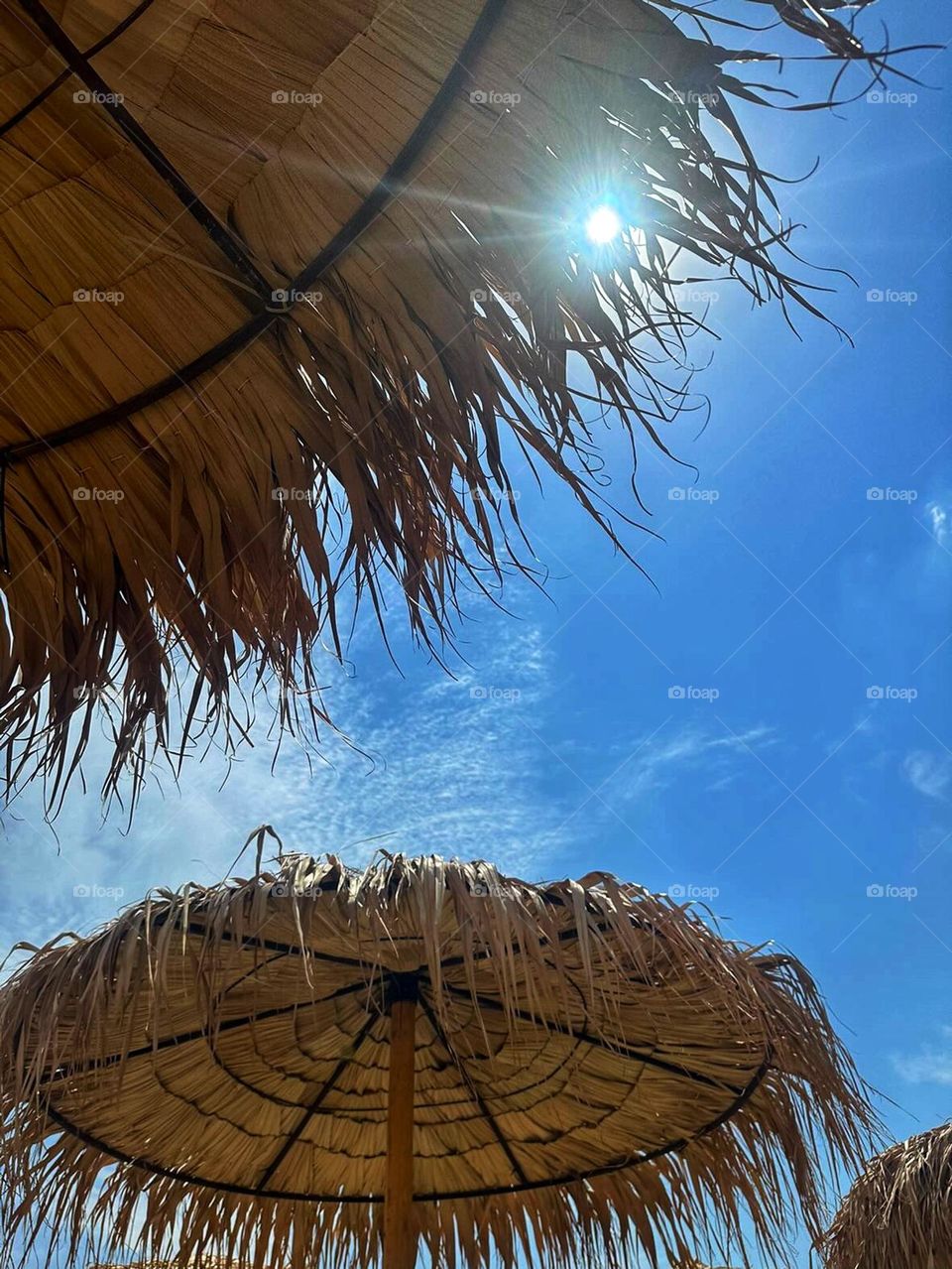 Sun and summer days. 