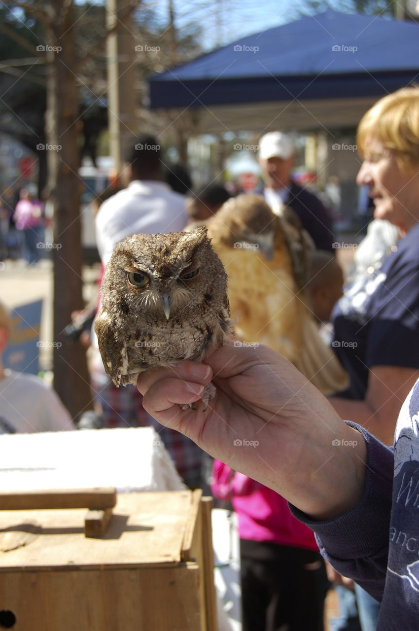WHO? Owl in hand