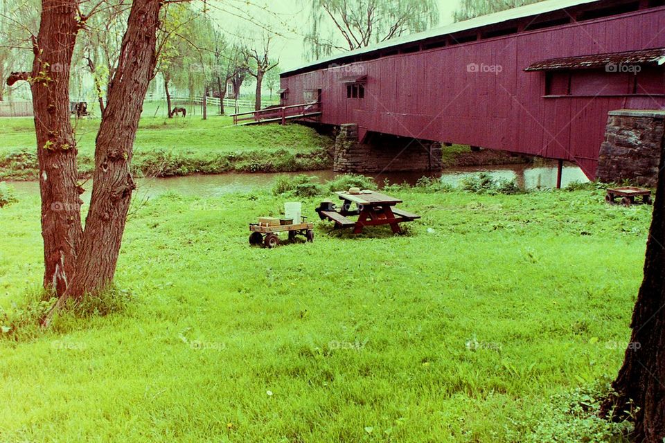 Picnic by the Bridge