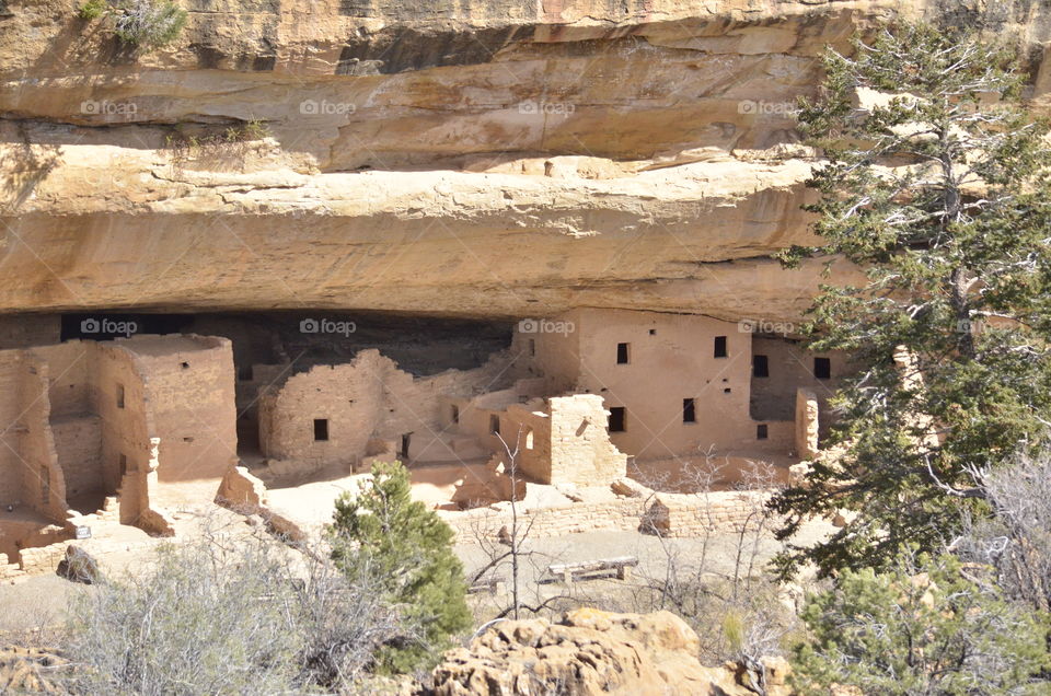 Mesa Verde