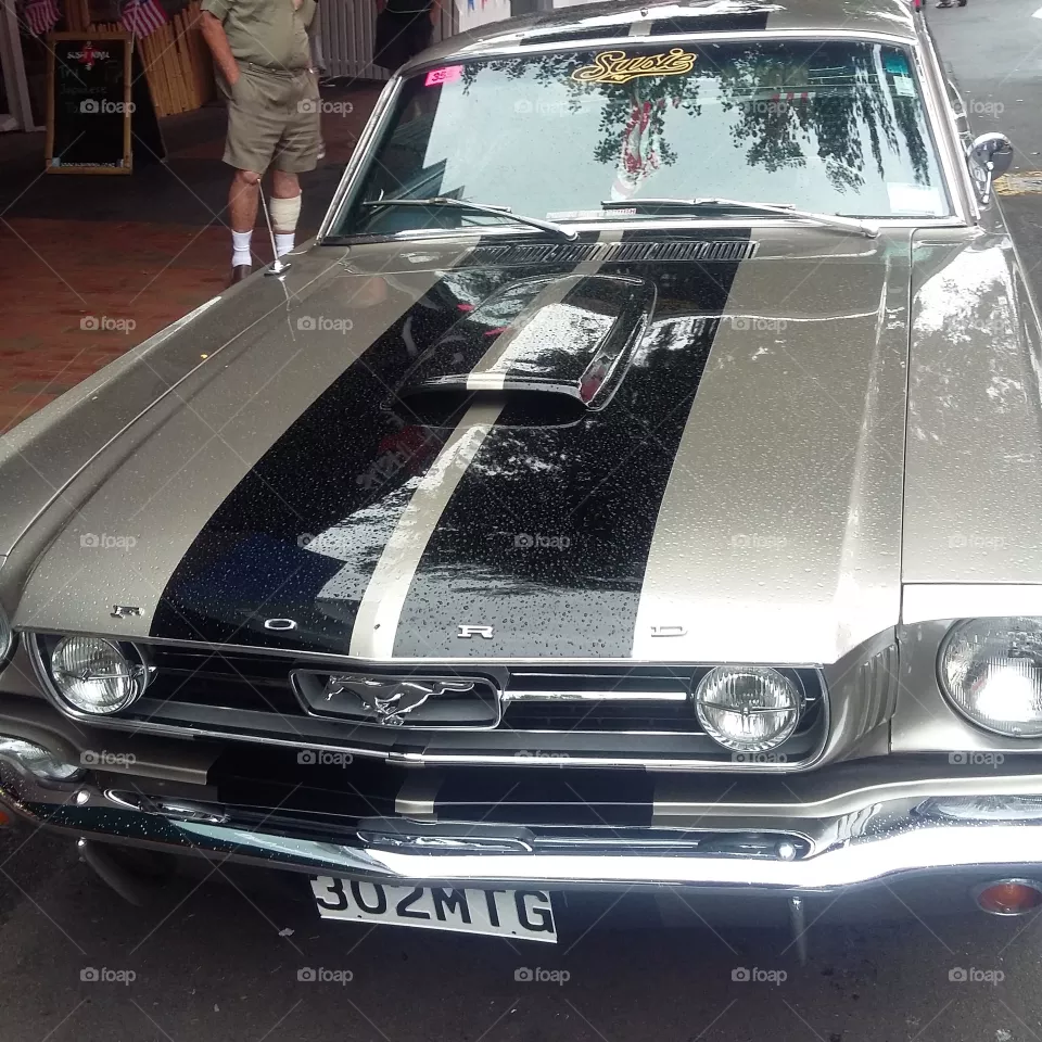 mustang