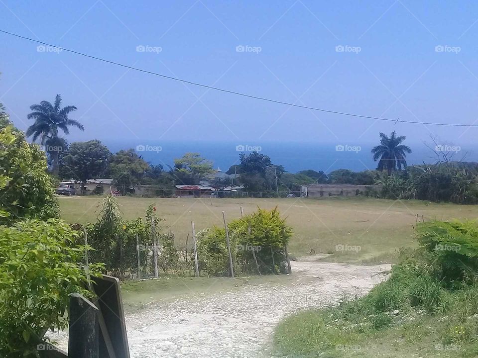 how great the view is an how happy I am to share it.   with ever one I really love the back ground.