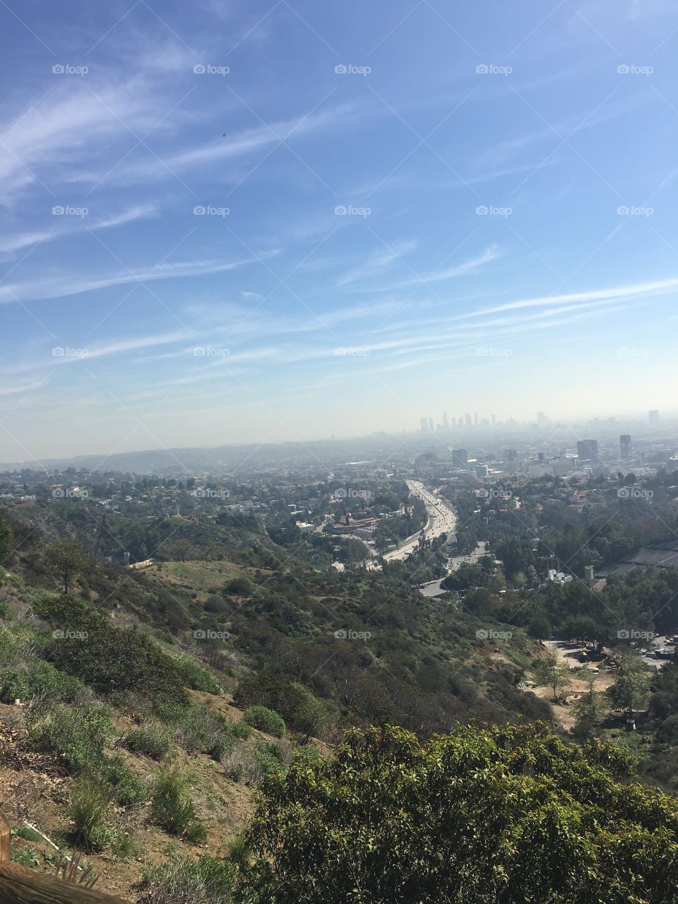 Los angeles 