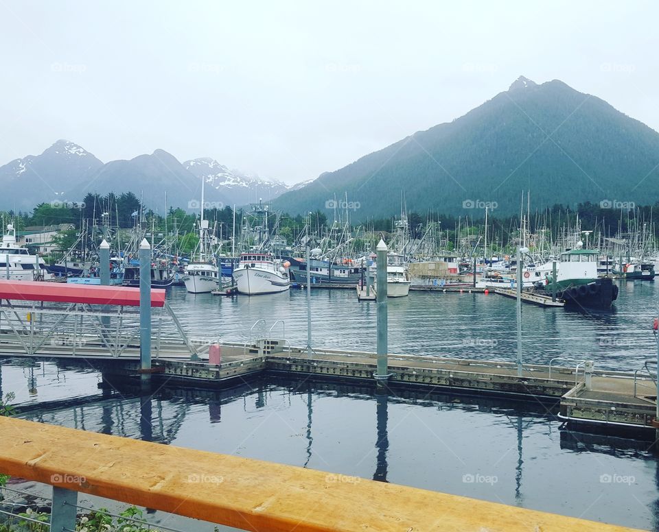 Alaska Marina