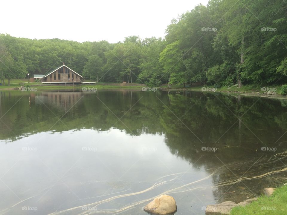 Community pond 