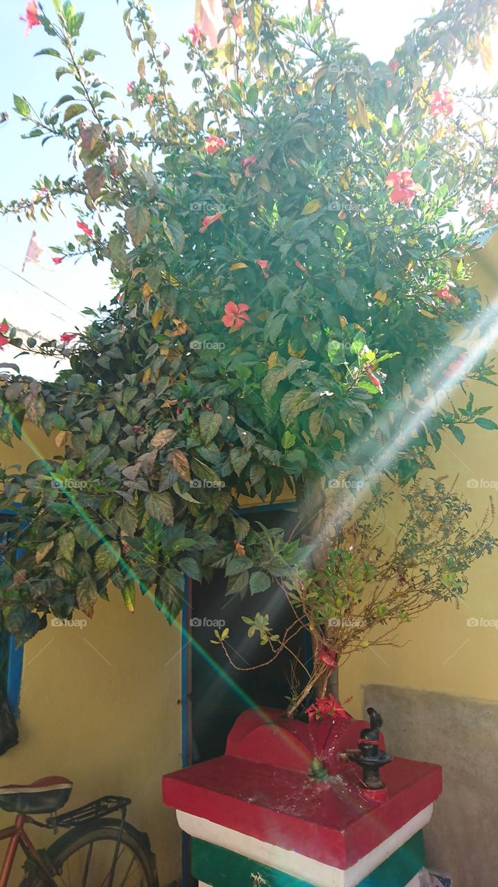 playing light with different colors