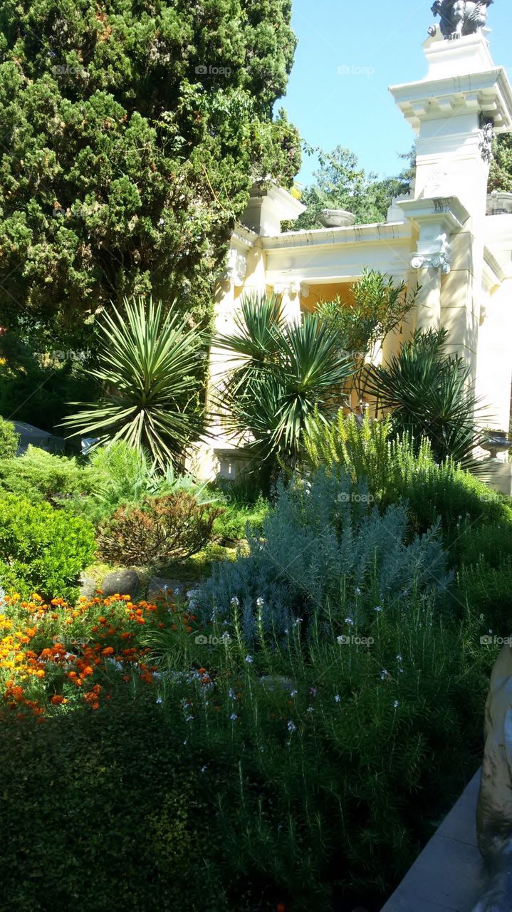 Botanical garden Arboretum in Sochi