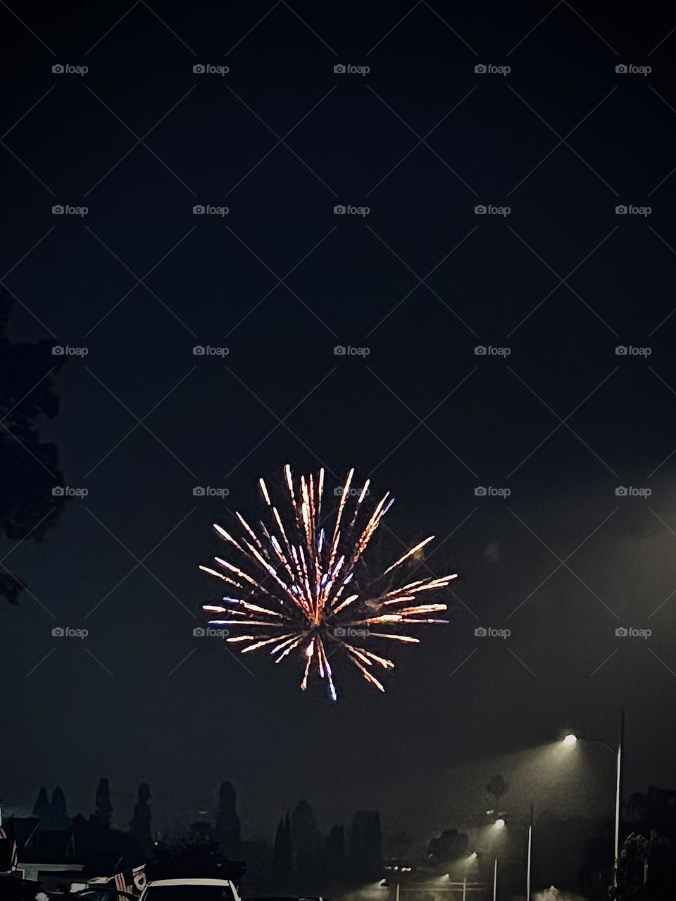 Fireworks in the Sky