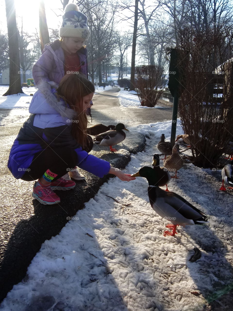 two little girls feeding ducks at the park in the winter