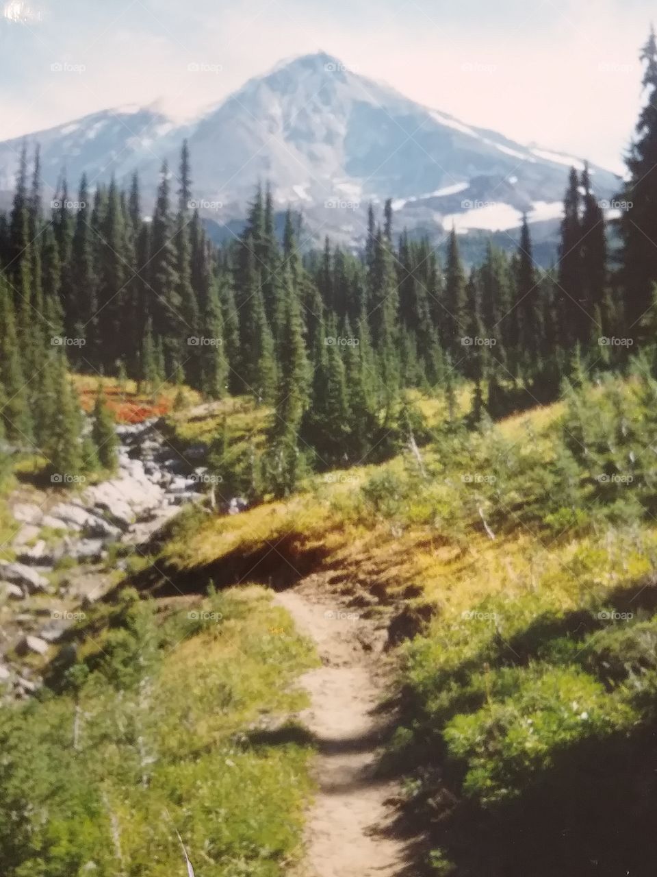 Hiking trail on Mt. Adams in Oregon.