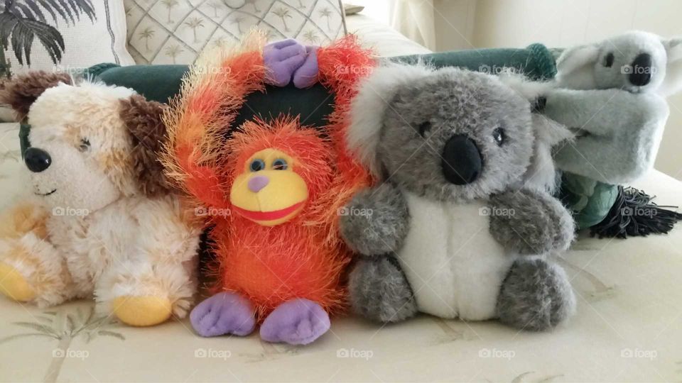 stuffed animals