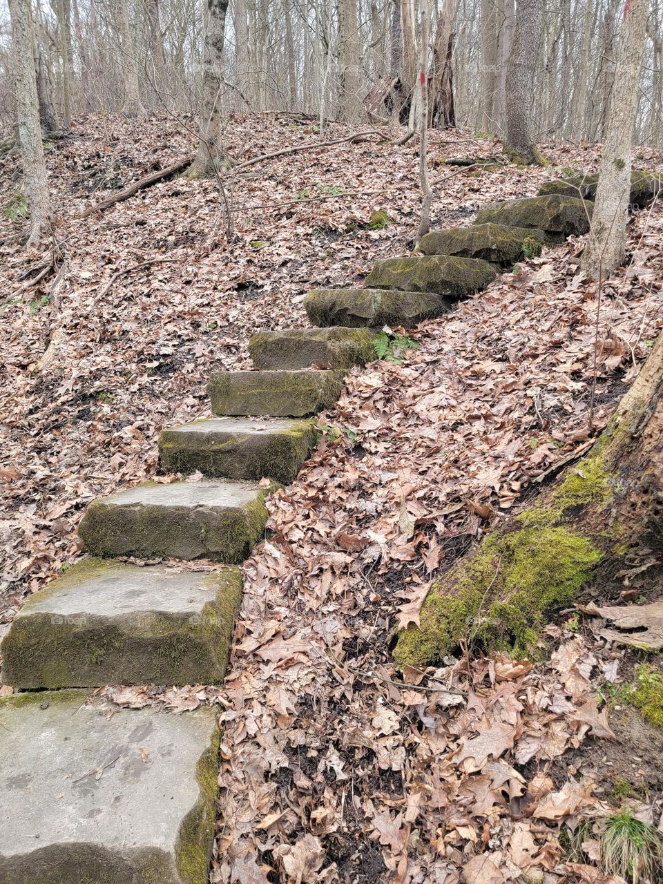 Carved Rock Stairs on Hiking Trail in Winter