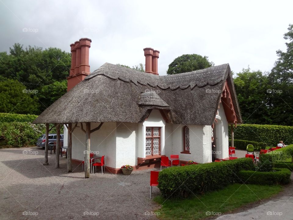 Cottage with Thatched Roof