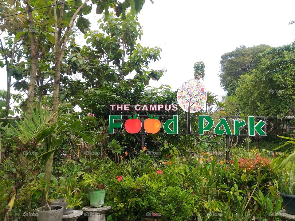 Food Park