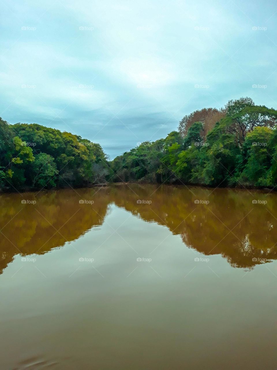Rio com água escura.