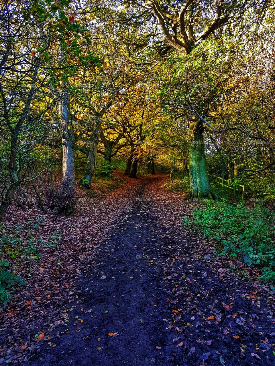 eston hills 6th November