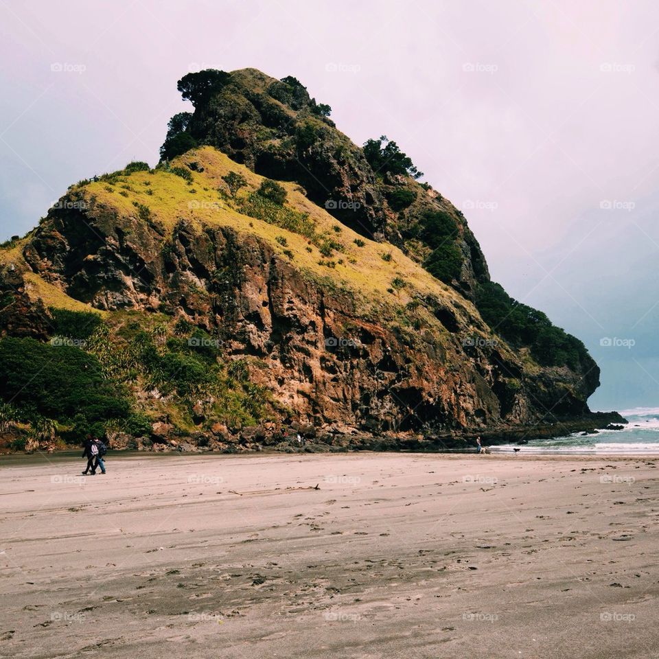 Lion Rock, Piha Beach