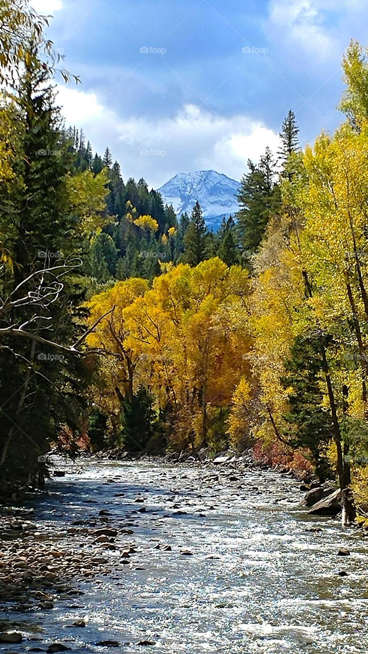 Autumn in the high country. The Crystal River flows through the valley with Chair Mountain, dusted with snow, in the background.
