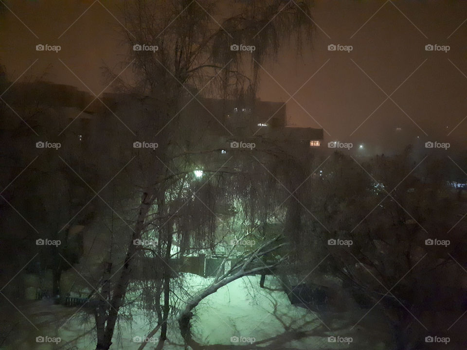 View from  the window