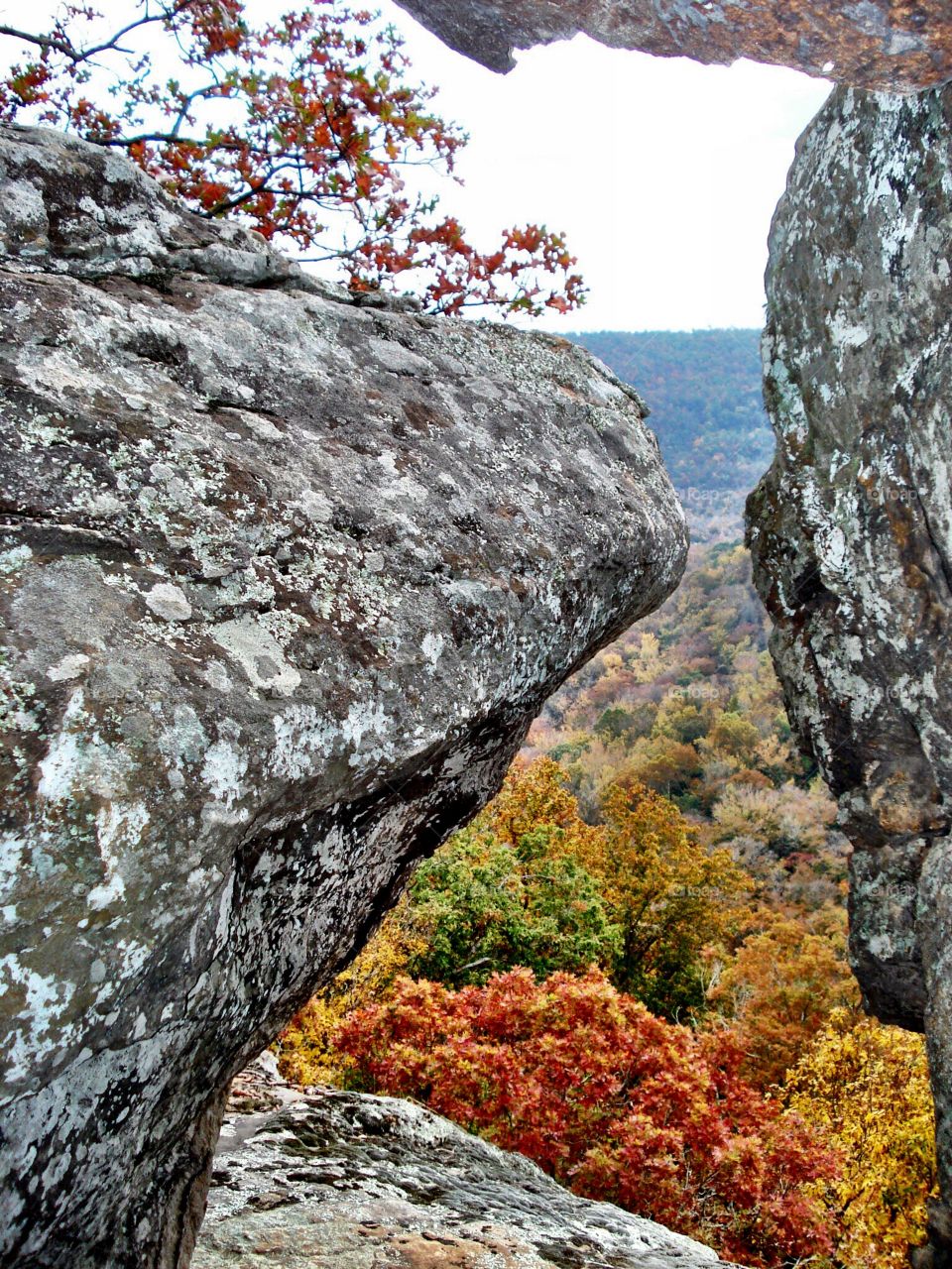 View of forest between two boulders