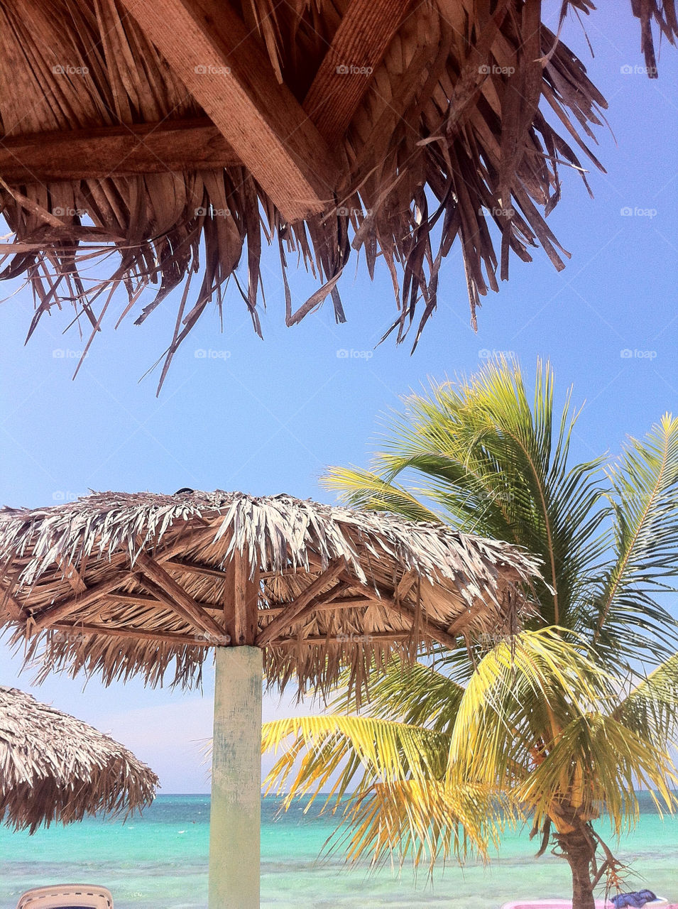 beach summer umbrella palmtrees by ijbailey