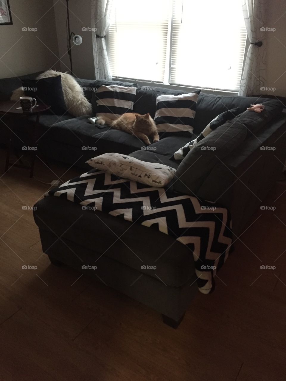 Furniture, Indoors, Seat, Sofa, Room