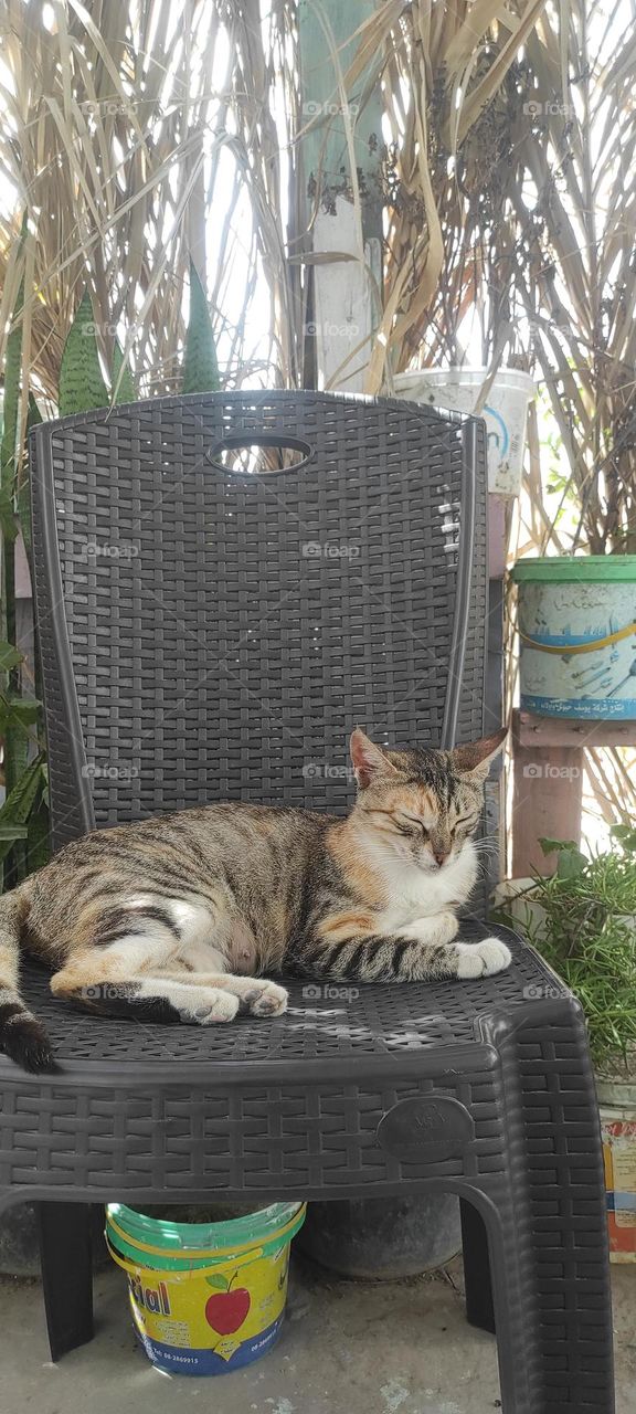 It's time to relax. I wish you all the love