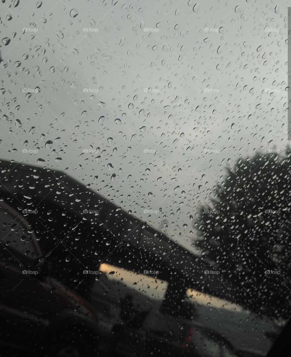 Rain