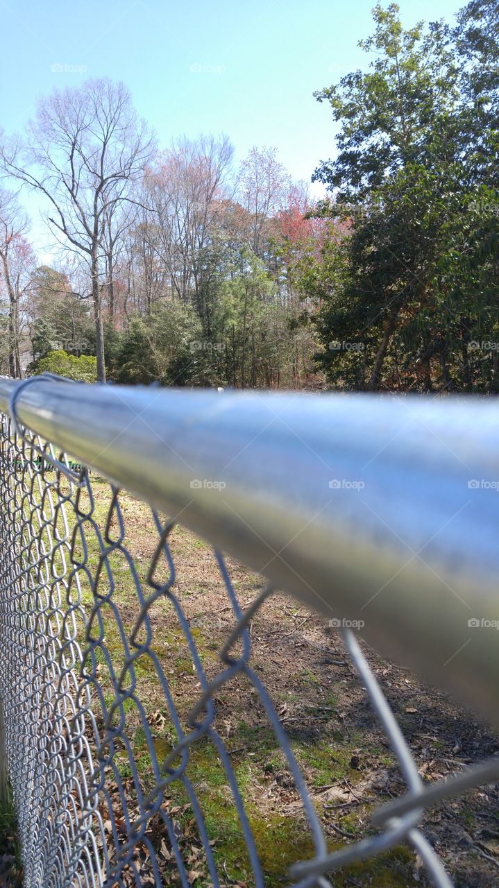Fence view