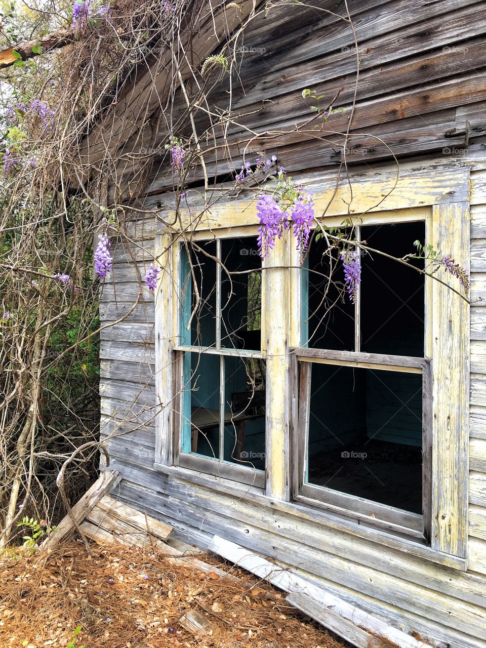 Dilapidated windows