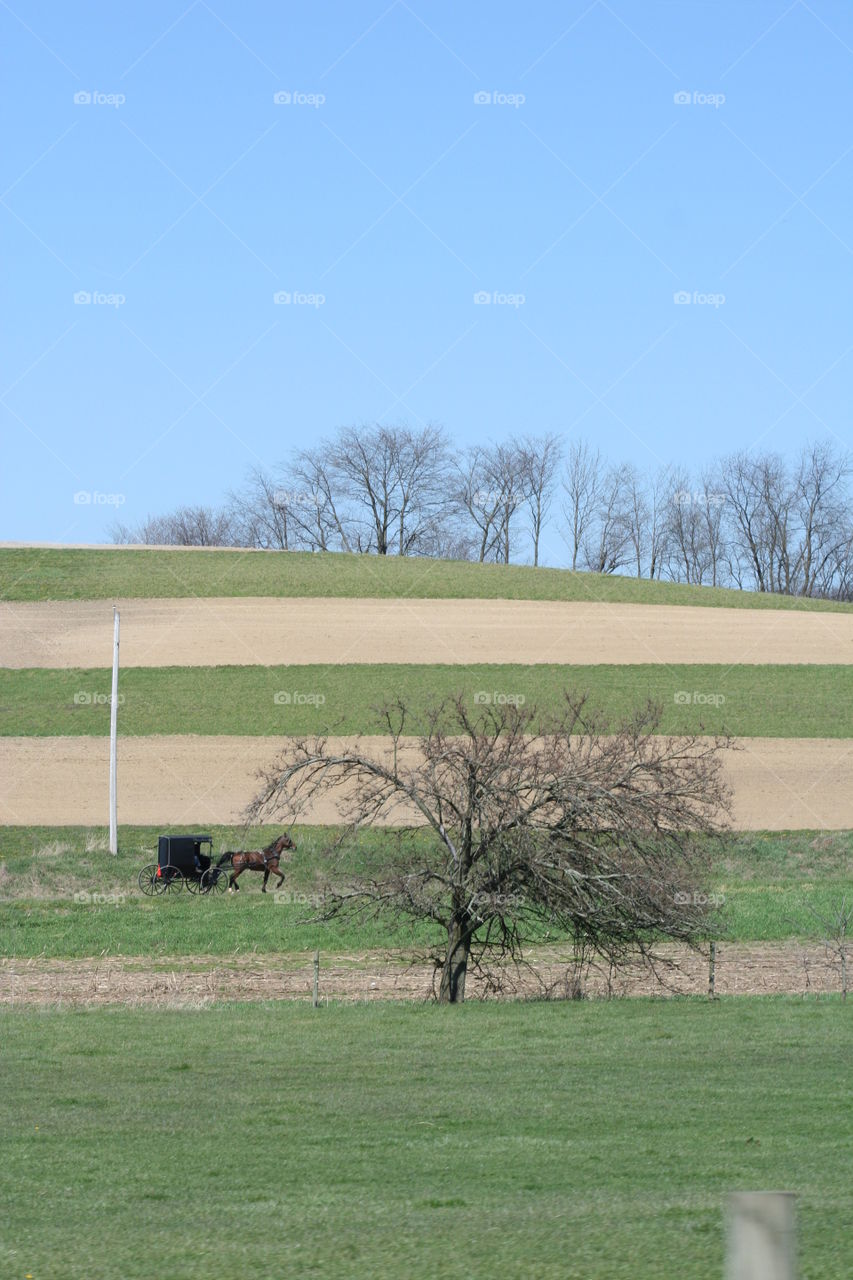 Amish country